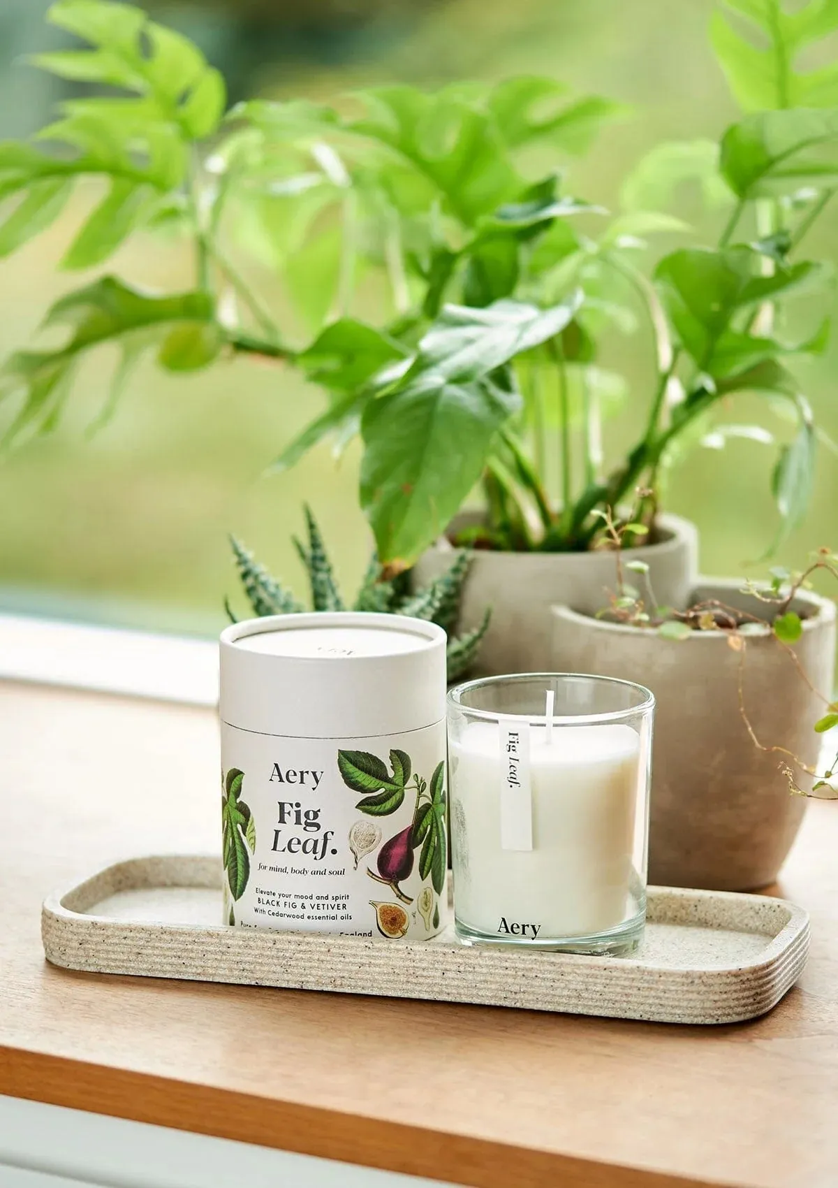 Aery Fig Leaf Scented Soy Candle - Black Fig, Vetiver & Cedarwood