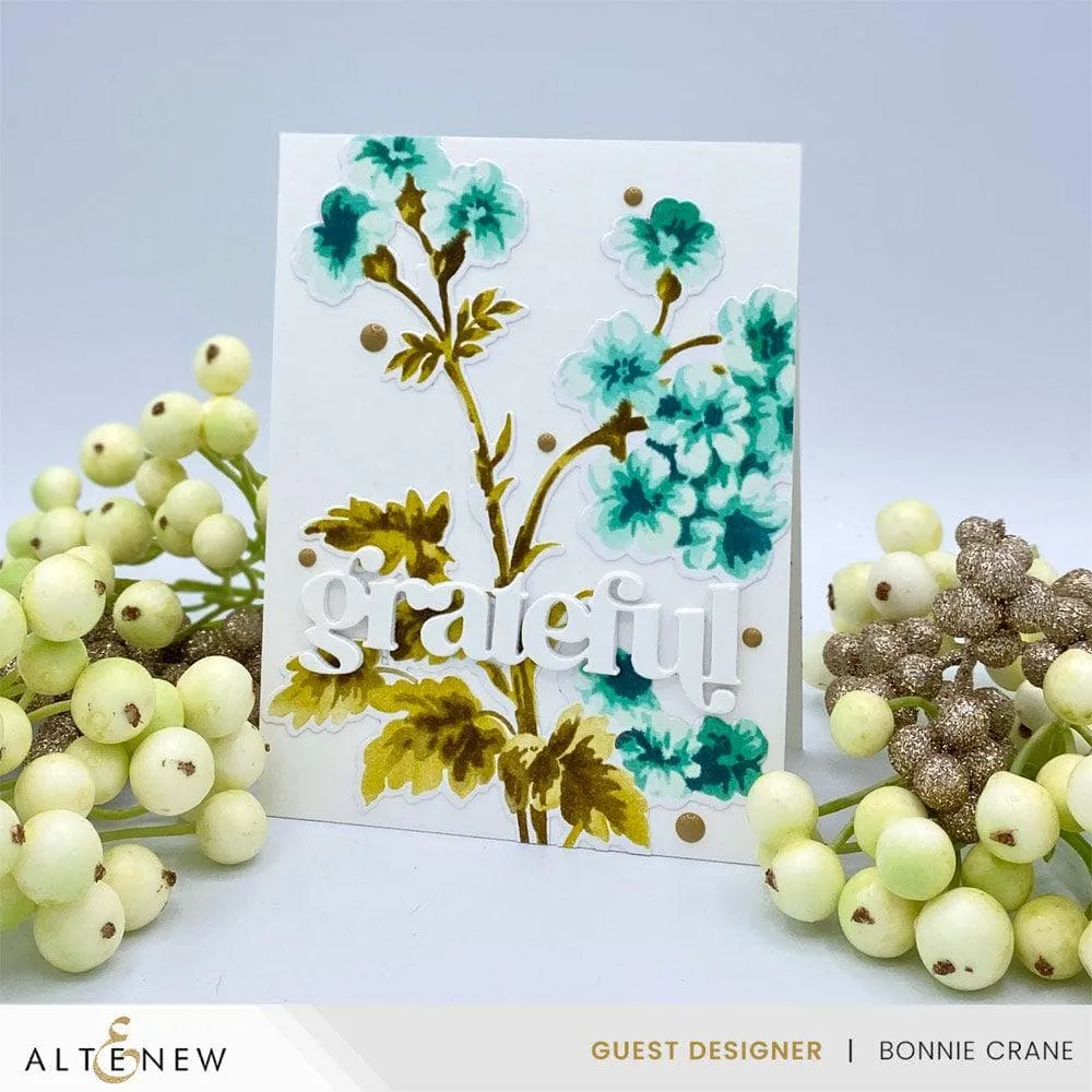Aqua Island Fresh Dye Ink Reinker Bundle
