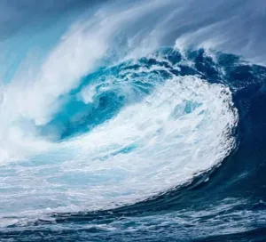 Blue Ocean Wave - White Barn Candle (type) - Premium Fragrance Oil