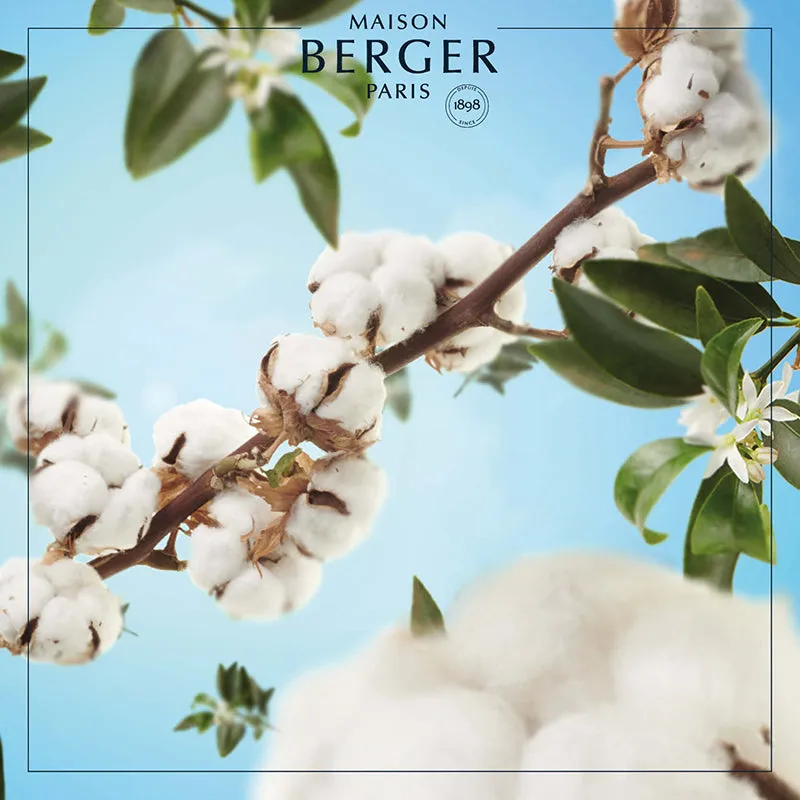 Cotton Caress Car Diffuser Refill