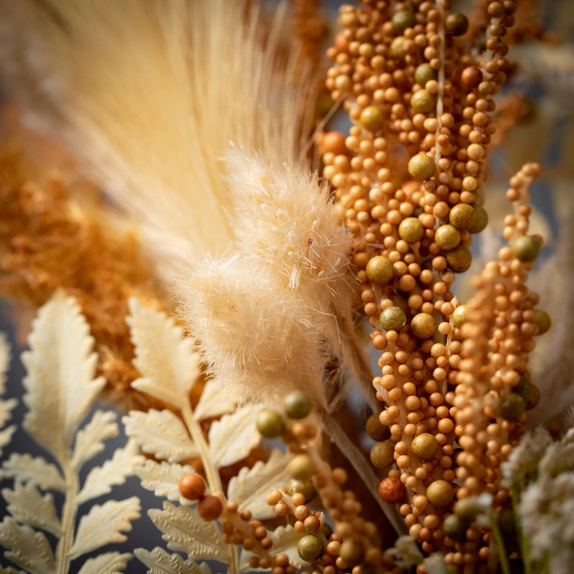 Dried Pampas Pick