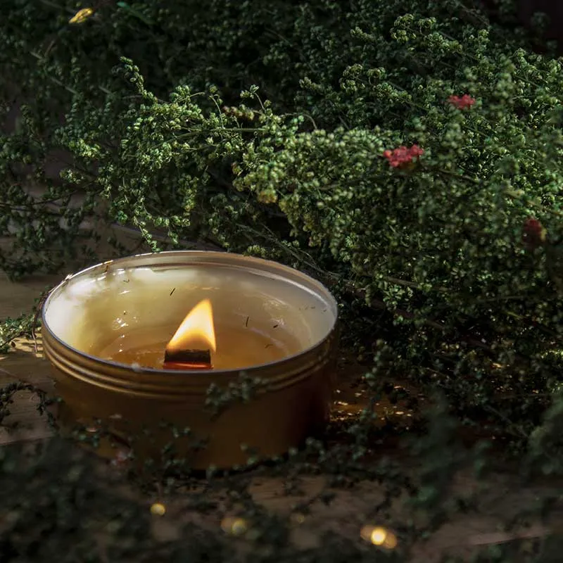 Enchanted Forest Scented Candle | Single | 8.1 x 3.1 cm / 3.2 x 1.2 inches