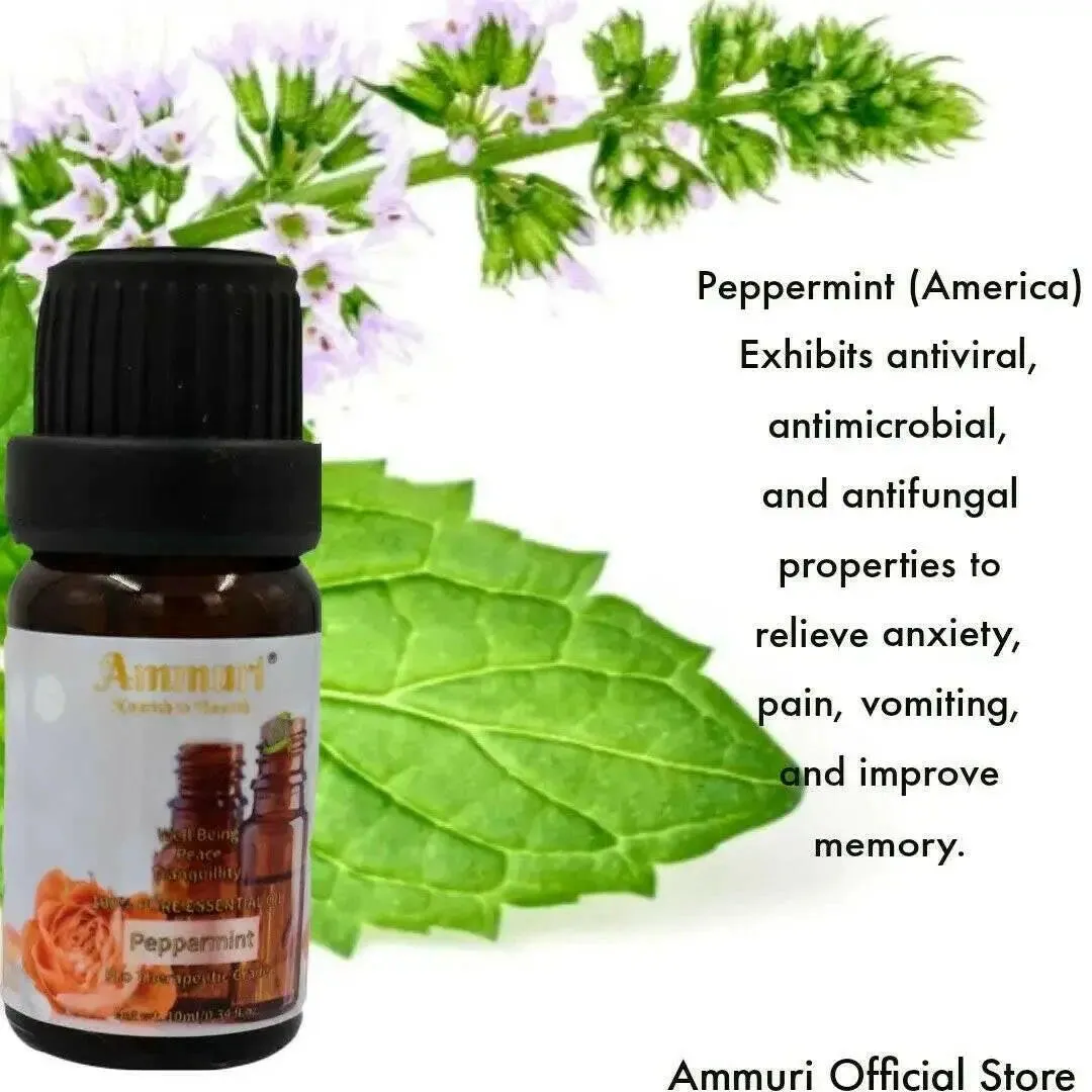 Essential Oils Gift Set, Fragrance Oil Aromatherapy Diffuser Essential Oils Set
