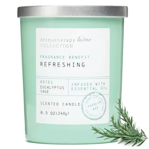 Eucalyptus & Sage Scented Candle, Soy Wax Candle for Home, Natural Wax Luxury Jar Candles, Highly Fragrance 10oz Premium Ideal Candle Gift