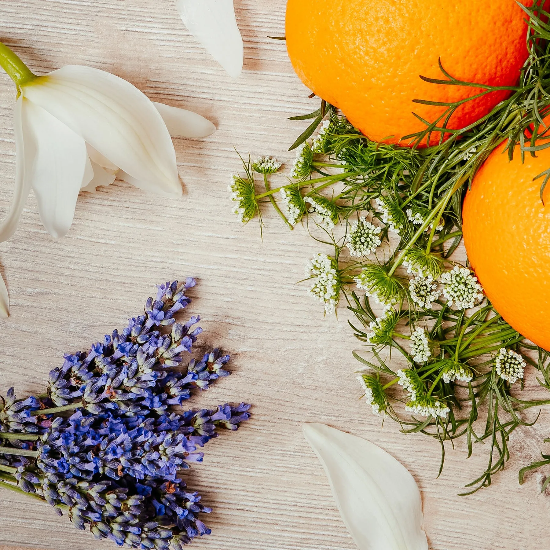 FRAGRANCE DIFFUSER - NEROLI BLOSSOM & LAVENDER
