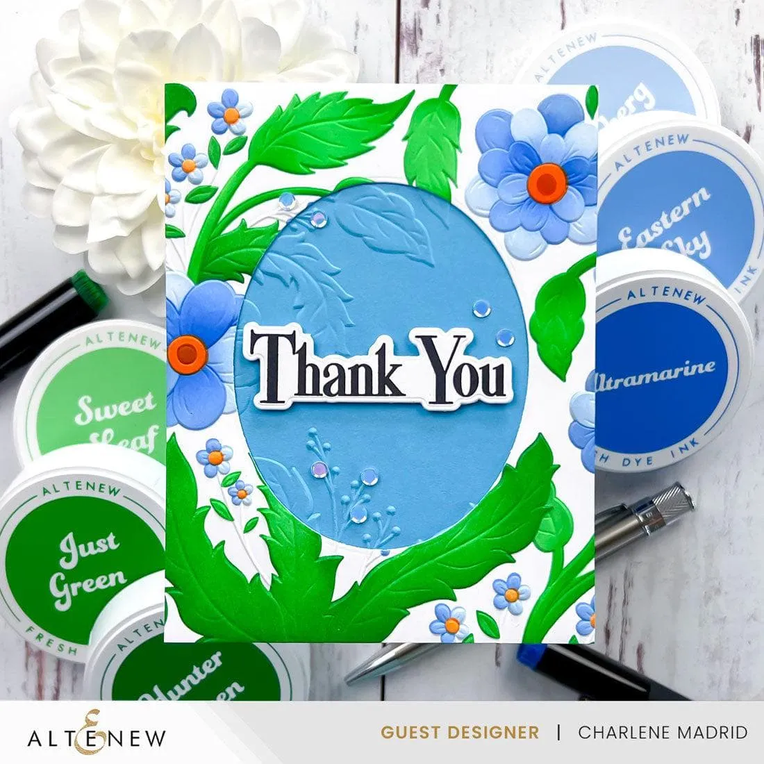Green Meadows Fresh Dye Ink Reinker Bundle