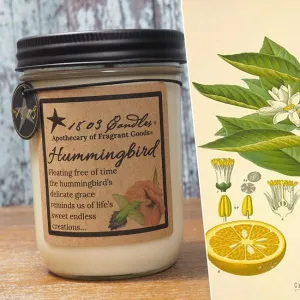 Hummingbird-14 oz Jar Candle
