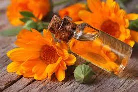Oil Calendula