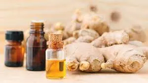 Oil Essential Ginger