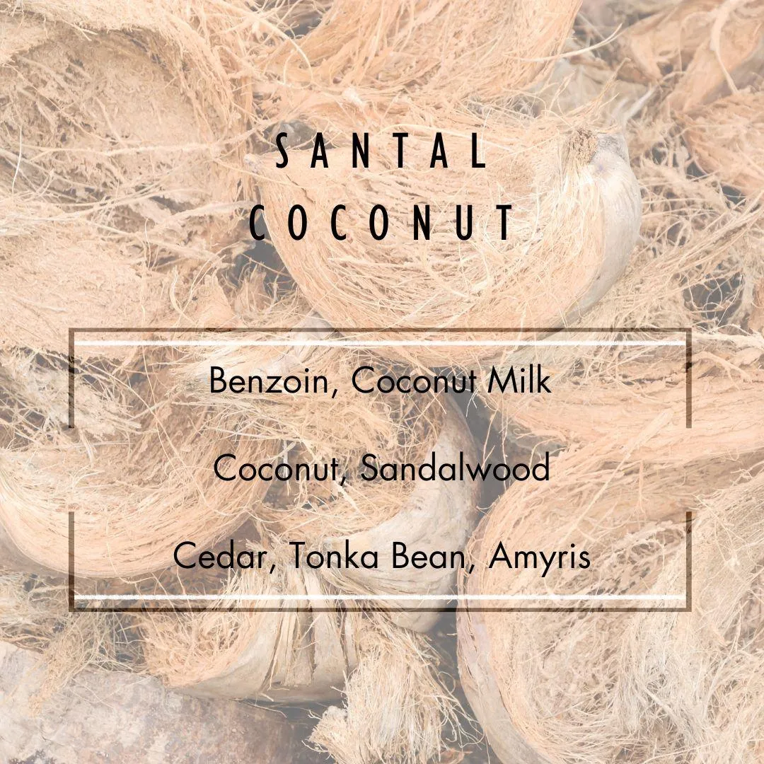 Santal Coconut Reed Diffuser