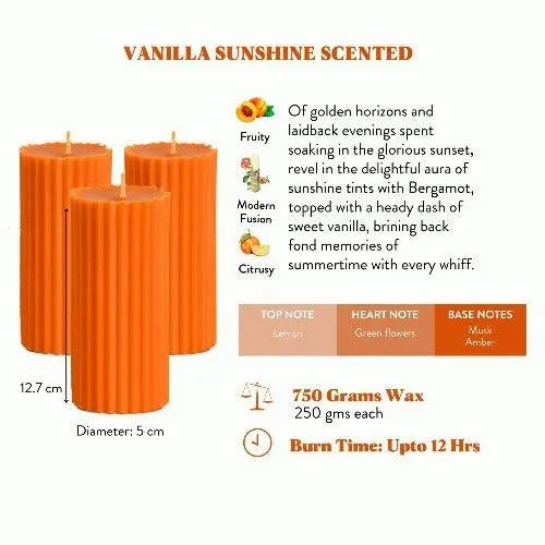 Scented Tall Pillar Candles | Multiple Fragrances | Set of 3 | 5 x 13 cm / 2 x 5.1 inches