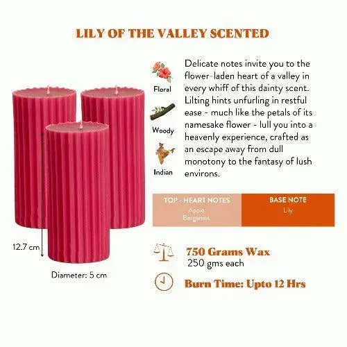 Scented Tall Pillar Candles | Multiple Fragrances | Set of 3 | 5 x 13 cm / 2 x 5.1 inches
