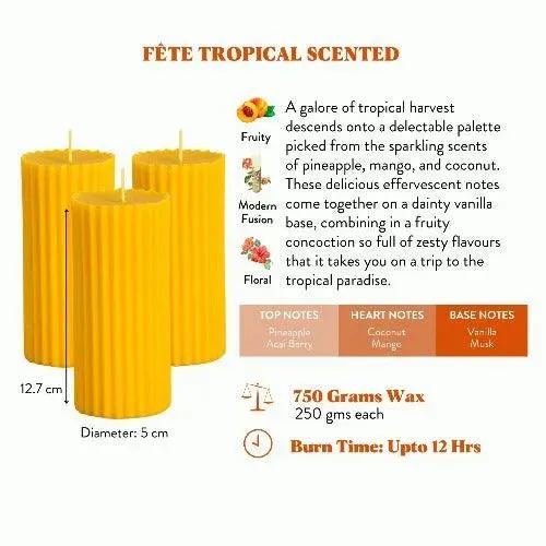 Scented Tall Pillar Candles | Multiple Fragrances | Set of 3 | 5 x 13 cm / 2 x 5.1 inches