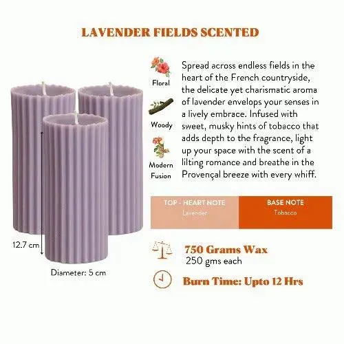 Scented Tall Pillar Candles | Multiple Fragrances | Set of 3 | 5 x 13 cm / 2 x 5.1 inches