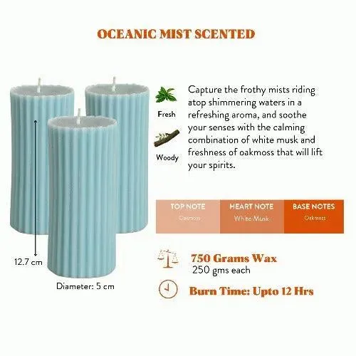 Scented Tall Pillar Candles | Multiple Fragrances | Set of 3 | 5 x 13 cm / 2 x 5.1 inches