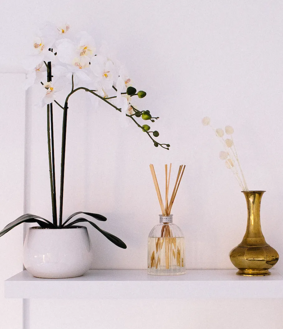Wild Jasmine & Mint Fragrance Diffuser 200ml